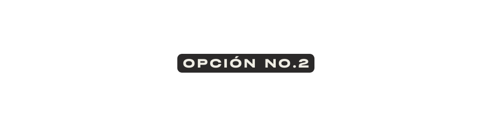 Opción No 2
