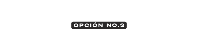 opcIÓn No 3