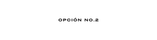 opcIÓn No 2