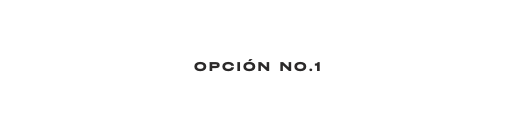 Opción No 1