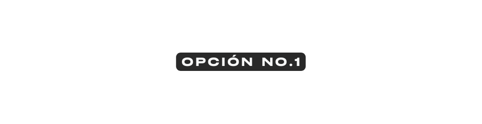 Opción No 1